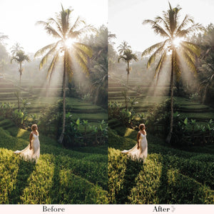 
15 BALI Mobile Lightroom Presets, Bali Travel Presets, Tropical Presets, Summer Beach Preset, Holidays Filters, Instagram Aesthetic Filters
